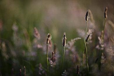 经营镖局，闯荡江湖《三分保平安》现已开启Steam商店页面